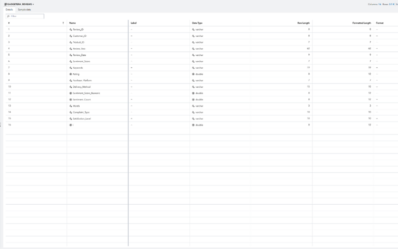 Customer Review Dataset